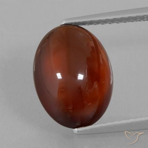 5.27ct Natürlicher Pekannussbraun Hessonit-Granat, Oval, Lichtdurchlässig