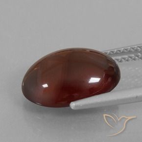 9,17 ctw natürlicher Pekannussbraun Hessonit-Granat, Oval, Lichtdurchlässig