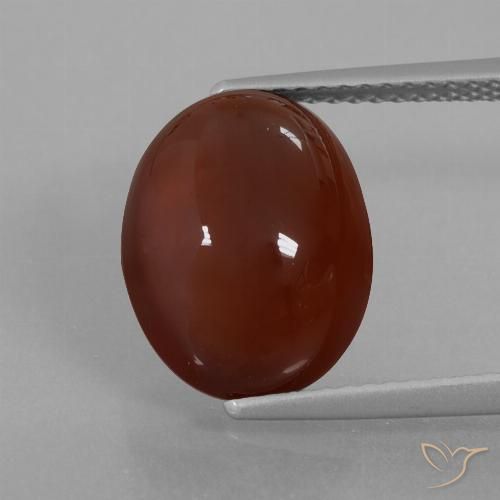 7.55ct Natürlicher Pekannussbraun Hessonit-Granat, Oval, Lichtdurchlässig