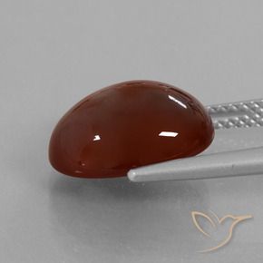 9,17 ctw natürlicher Pekannussbraun Hessonit-Granat, Oval, Lichtdurchlässig