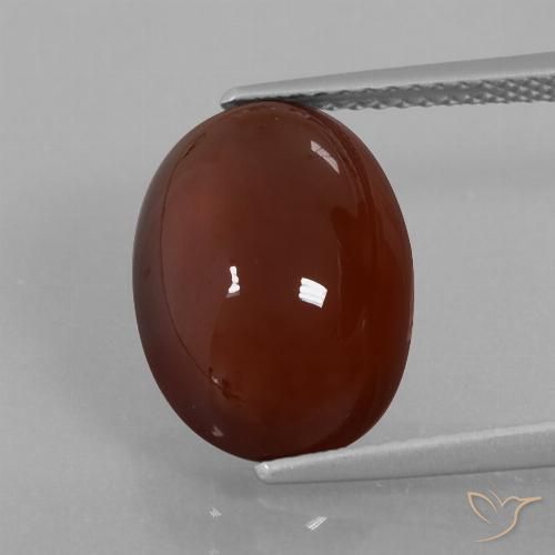 7.29ct Natürlicher Mittel-Dunkelbraun Hessonit-Granat, Oval, Lichtdurchlässig
