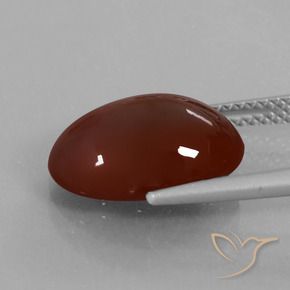 9,17 ctw natürlicher Mittel-Dunkelbraun Hessonit-Granat, Oval, Lichtdurchlässig