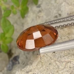 9,17 ctw natürlicher Mitteldunkles Orange Hessonit-Granat, Oval, VS-SI