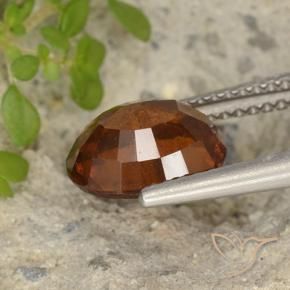 9,17 ctw natürlicher Mitteldunkles Orange Hessonit-Granat, Oval, VS-SI