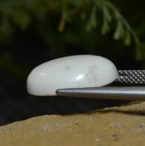 8,33 ctw natürlicher weißer Howlit, Oval Schliff, Lichtundurchlässig