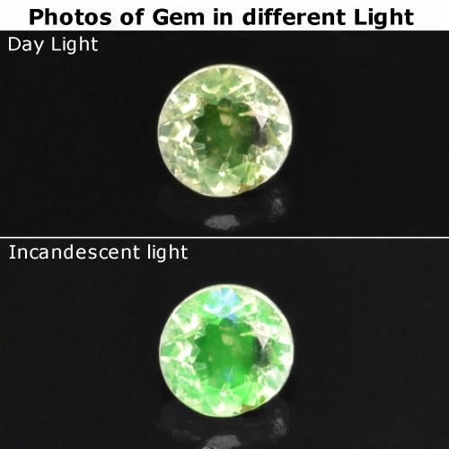 9,17 ctw natürlicher hellgrün Hyalit-Opal, Rund Schliff, Lichtdurchlässig