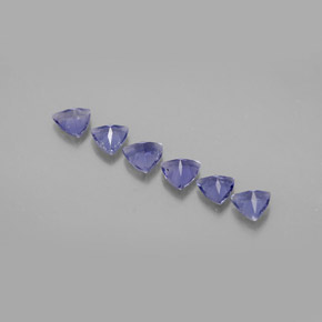 ct natürliche blauer Iolith-Edelsteine, Trillion, VS