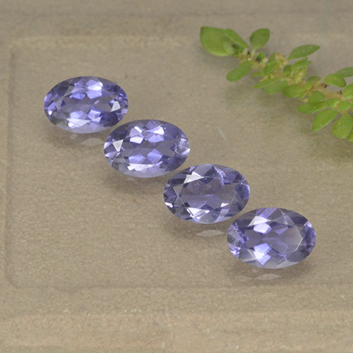1,52 ct natürliche violetter Iolith-Edelsteine, Oval Schliff, VS