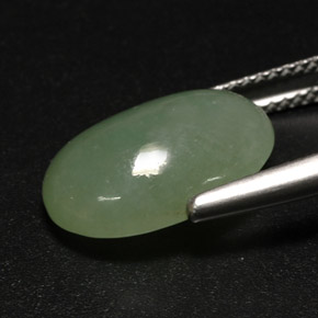 7,63 ctw natürlicher grüner Jadeit, Transparent, Transparent / Lichtdurchlässig