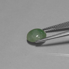 3,04 ctw natürlicher grüner Jadeit, Transparent, Transparent / Lichtdurchlässig
