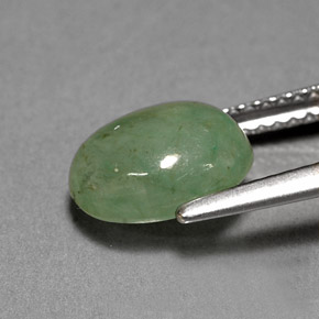 3,12 ctw natürlicher grüner Jadeit, Transparent, Transparent / Lichtdurchlässig