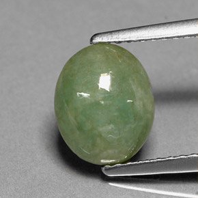 2,46 ctw natürlicher grüner Jadeit, Transparent, Transparent / Lichtdurchlässig