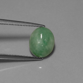 2,94 ctw natürlicher grüner Jadeit, Transparent, Transparent / Lichtdurchlässig