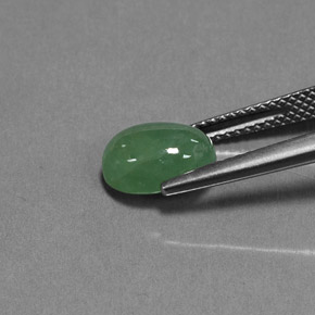 3,01 ctw natürlicher grüner Jadeit, Transparent, Transparent / Lichtdurchlässig