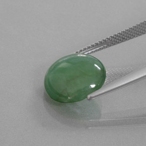 5,27 ctw natürlicher grüner Jadeit, Rundschliff, Transparent