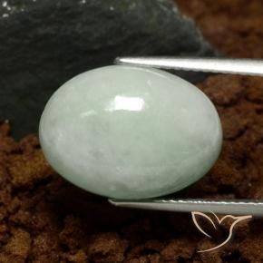 9,17 ctw natürlicher Mittelgrün Jadeit, Oval, Lichtdurchlässig