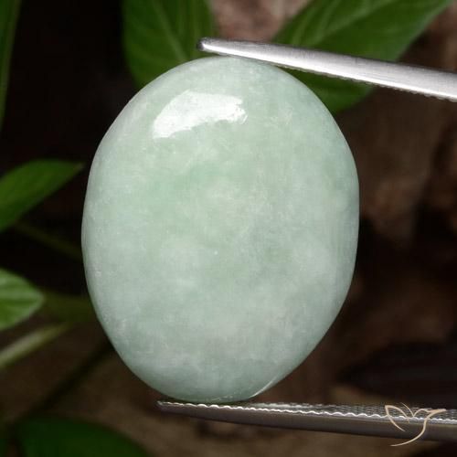 27.82ct Natürlicher hellgrün Jadeit, Oval, Lichtundurchlässig