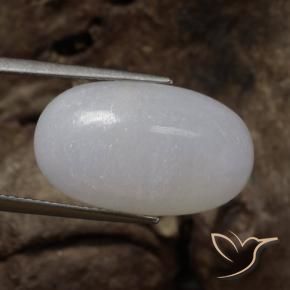 9,17 ctw natürlicher Mittelgrau Jadeit, Oval, Lichtdurchlässig