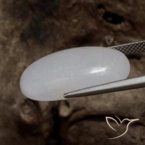 9,17 ctw natürlicher Mittelgrau Jadeit, Oval, Lichtdurchlässig