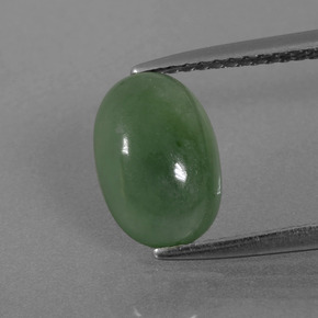 2,73 ctw natürlicher grüner Jadeit, Oval Schliff, Lichtdurchlässig
