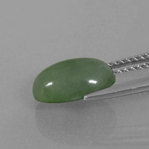 2,73 ctw natürlicher grüner Jadeit, Oval Schliff, Lichtdurchlässig