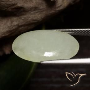 9,17 ctw natürlicher Graugelb-Grün Jadeit, Oval, Lichtdurchlässig
