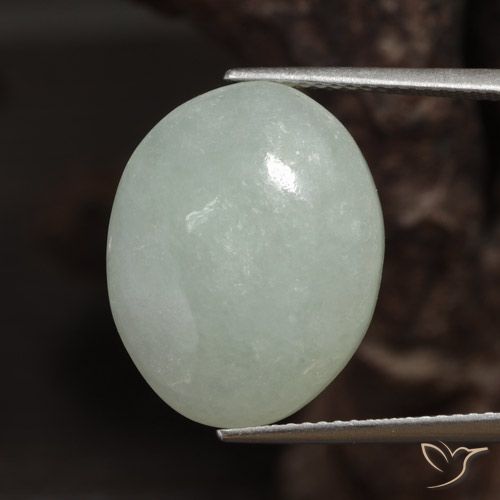 16.14ct Natürlicher hellgrün Jadeit, Oval, Lichtdurchlässig