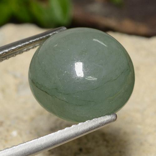 9,17 ctw natürlicher Medium Light Green Jadeit, Rund Schliff, Lichtdurchlässig