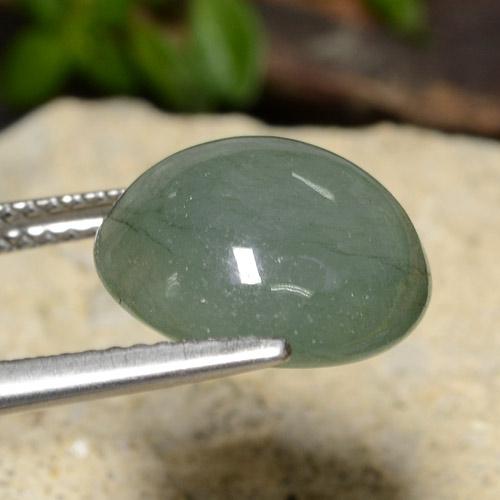 9,17 ctw natürlicher Medium Light Green Jadeit, Rund Schliff, Lichtdurchlässig