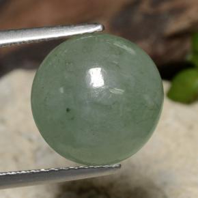 9,17 ctw natürlicher Medium Light Green Jadeit, Rund Schliff, Lichtdurchlässig