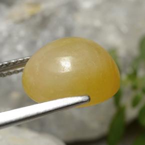 9,17 ctw natürlicher gelb-gold Jadeit, Oval Schliff, Lichtdurchlässig