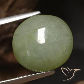 9,17 ctw natürlicher Warmes Grün Jadeit, Oval, Lichtdurchlässig