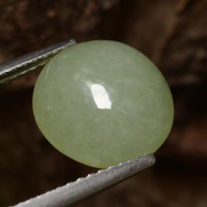 4,64 ctw natürlicher grüner Jadeit, Rundschliff, Lichtdurchlässig
