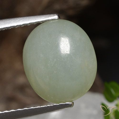 4.89ct Natürlicher hellgrün Jadeit, Oval, Lichtdurchlässig