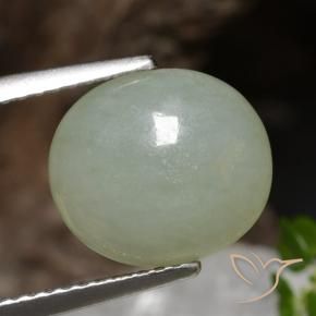 9,17 ctw natürlicher hellgrün Jadeit, Oval, Lichtdurchlässig