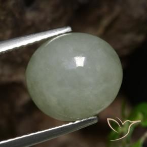 9,17 ctw natürlicher Mittelgrün Jadeit, Oval, Lichtdurchlässig