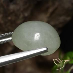 9,17 ctw natürlicher Mittelgrün Jadeit, Oval, Lichtdurchlässig
