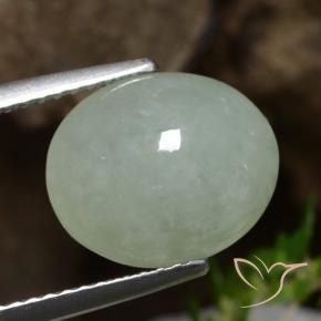 9,17 ctw natürlicher Grau Grün Jadeit, Oval, Lichtdurchlässig