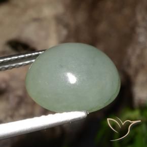 9,17 ctw natürlicher Grau Grün Jadeit, Oval, Lichtdurchlässig