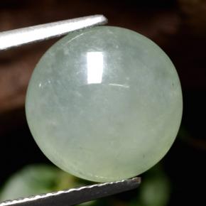 5,77 ctw natürlicher grüner Jadeit, Rundschliff, Lichtdurchlässig
