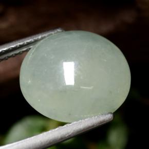 5,77 ctw natürlicher grüner Jadeit, Rundschliff, Lichtdurchlässig