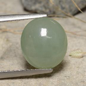 3,68 ctw natürlicher grüner Jadeit, Oval Schliff, Lichtdurchlässig