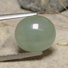 3,68 ctw natürlicher grüner Jadeit, Oval Schliff, Lichtdurchlässig