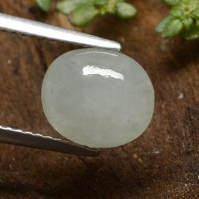 3,34 ctw natürlicher grüner Jadeit, Oval Schliff, Lichtdurchlässig