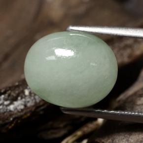 5,78 ctw natürlicher grüner Jadeit, Oval Schliff, Lichtdurchlässig