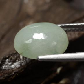 5,78 ctw natürlicher grüner Jadeit, Oval Schliff, Lichtdurchlässig