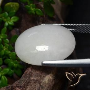 9,17 ctw natürlicher Mittelgrau Jadeit, Oval, Lichtdurchlässig