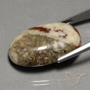 9,17 ctw natürlicher Mehrfarbig Jaspis, Oval, Lichtundurchlässig
