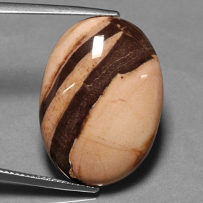 27,00 ctw natürlicher mehrfarbiger Jaspis, Oval Schliff, Lichtundurchlässig