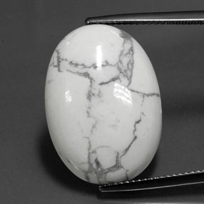 16,90 ctw natürlicher mehrfarbiger Jaspis, Oval Schliff, Lichtundurchlässig